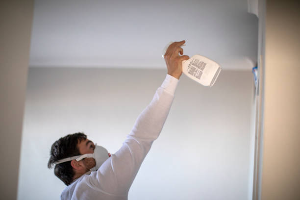 Best Mold Removal Company Near Me  in Verona, KY